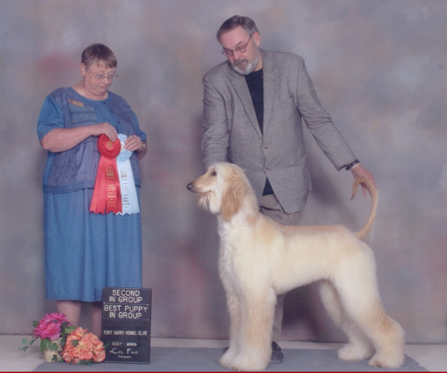 Ch. Zanzara Al-Maj�d, Fort Garry KC Day 3