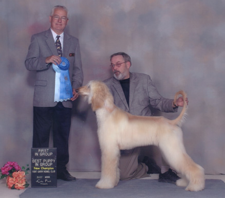 New Ch. Zanzara Al-Maj�d, Fort Garry KC Day 1