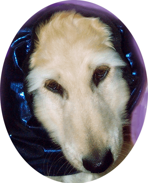 How can you resist that face?