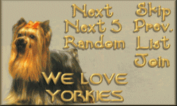 We Love Yorkies Webring - Click To Join 