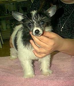 Lily's face 2.5 months