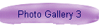 Photo Gallery 3