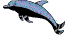 dolphin19.gif (5451 bytes)