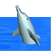 dolphin4.gif (17608 bytes)