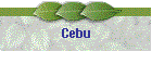 Cebu