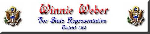 Elect Winnie Weber For State Representative!