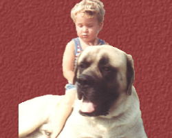 The Working Dog Ring Home Page