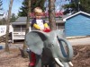 Elephant Rides!