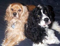 Darwin (left) and Orion