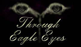 Through Eagle Eyes