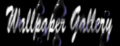 Wall Paper Gallery