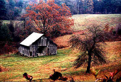 A Rustic Barn