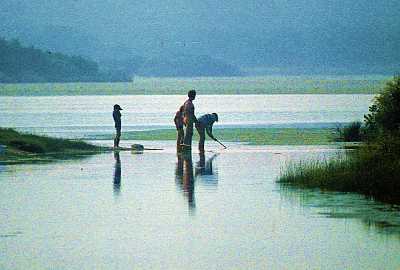 People Crabbing at Assateague Island