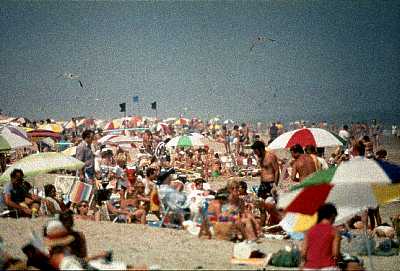 People Enjoying The Beach At Assateague Island