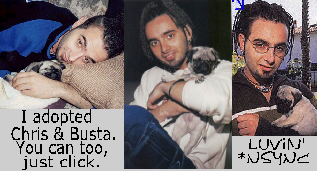 I adopted Chris and Busta at Luvin' *NSYNC