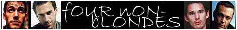 BANNER FOR FOUR NON-BLONDES