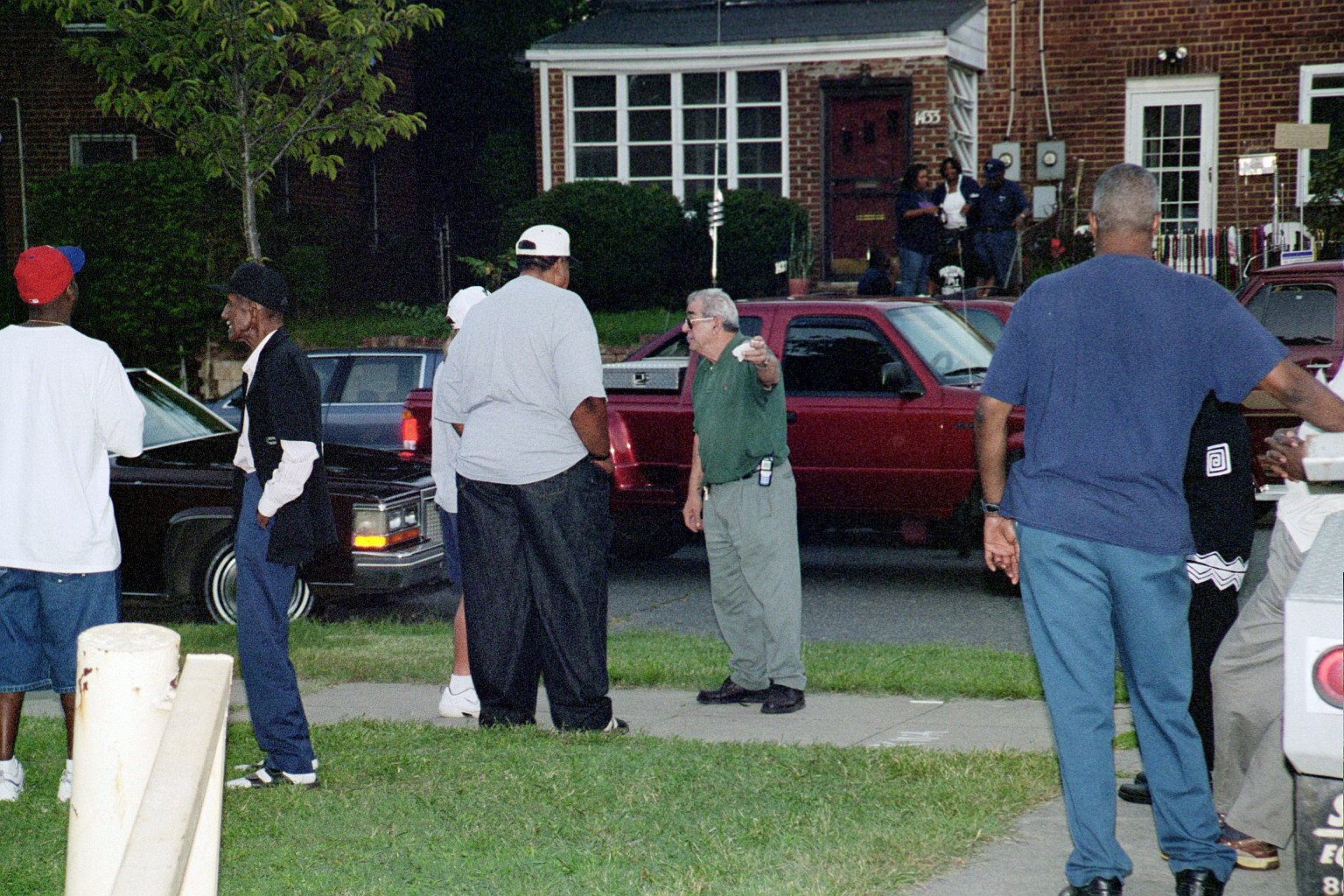 Wild Greek has arrived