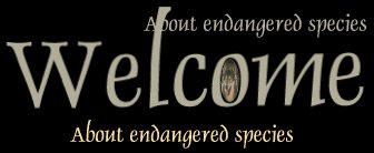 Our wildlife needs your voice