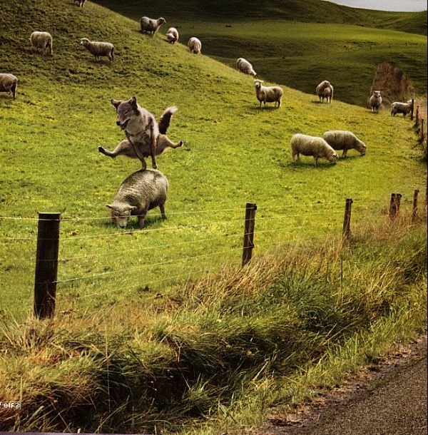 Spring.jpg - 129360 Bytes