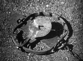 DO YOU FEEL HIS PAIN