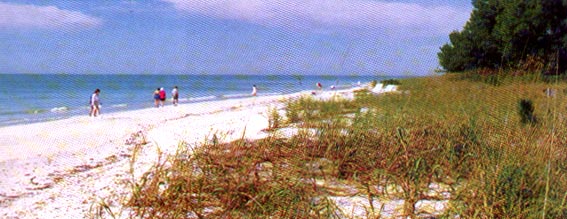 Relax - Enjoy The Beach