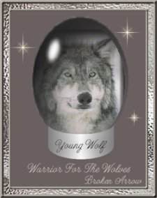 warrioraward.jpg - 14313 Bytes