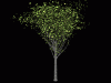 Tree2.gif (84871 bytes)