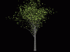 Tree5.gif (68382 bytes)
