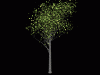 Tree7.gif (68017 bytes)