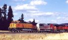 BNSF.JPG 47k