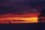 Sunset.JPG 35k