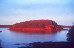Porcupine Island.JPG 38k