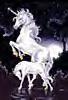 Unicorn 1