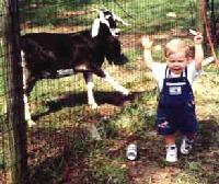 THAT TASTED NASTY!!!