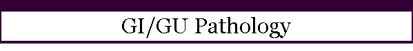 GI/GU Pathology
