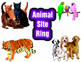 animalsite.gif