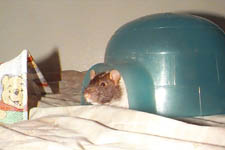 Our lil group posing for pics