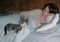 Decorating The Xmas Tree