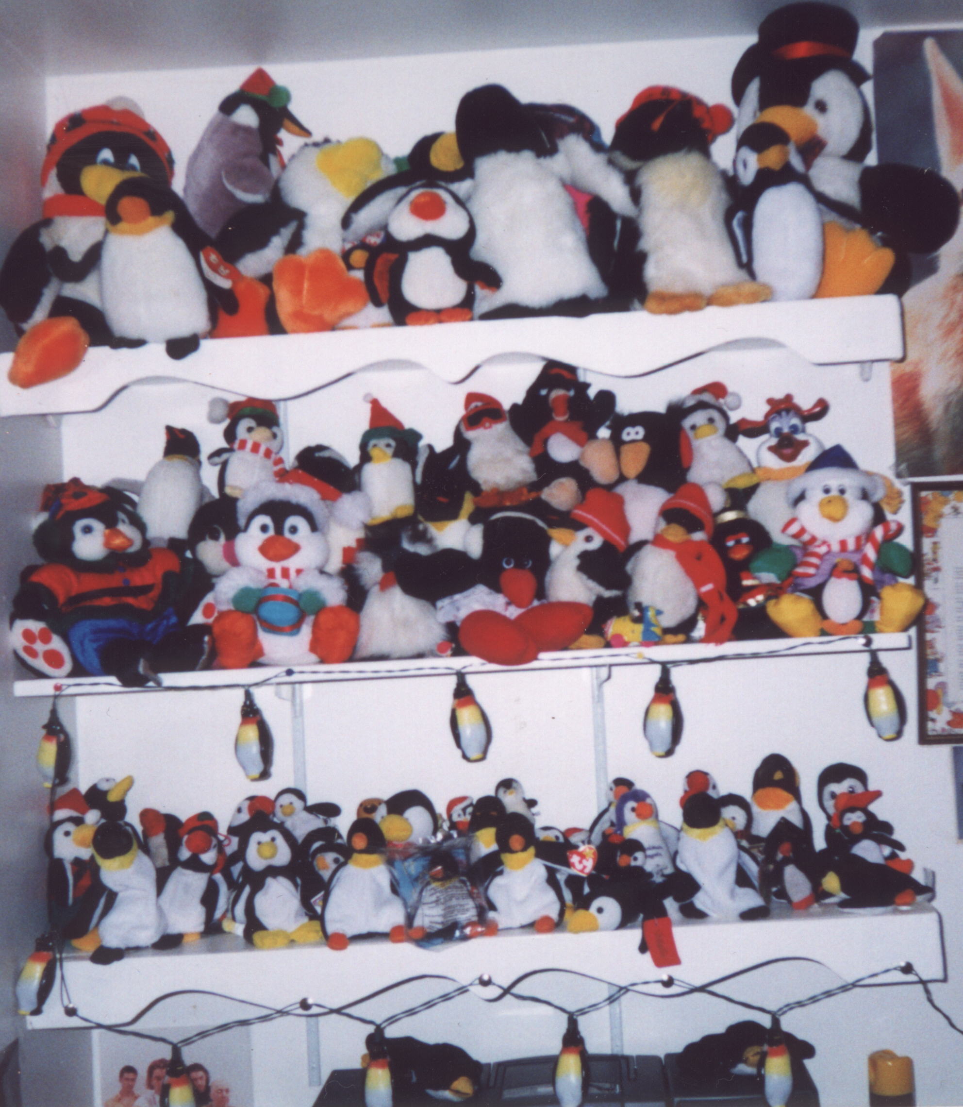 images/penguin.jpgs