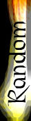 RANDOM