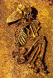 skeleton