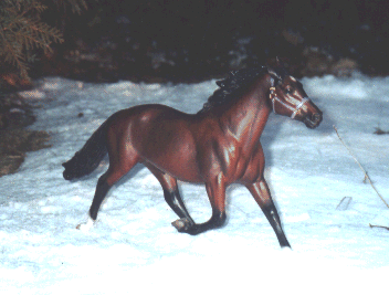 [Mistique, my Niatross model]