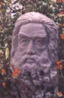 ABuste.JPG (12279 octets)