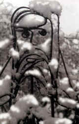 Barneige.jpg (137637 octets)