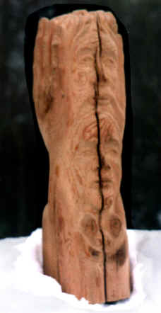 Totem5.jpg (55129 octets)