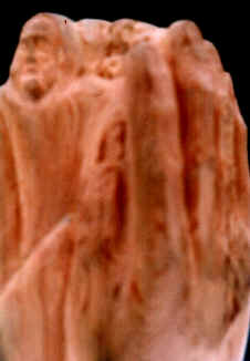 Totem7.jpg (191358 octets)