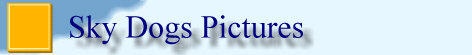 Sky Dogs Pictures