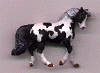 bwmustang1.gif (15003 bytes)