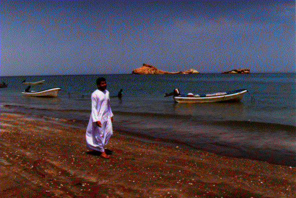 Sultan on the beach!