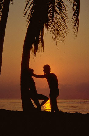 Sillouettes.jpg (29486 bytes)